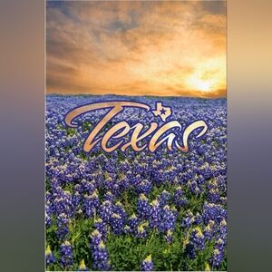 Texas Bluebonnets Design Tea Towels 16"×22 Set Of 2 Wildflower Texascore Kitchen